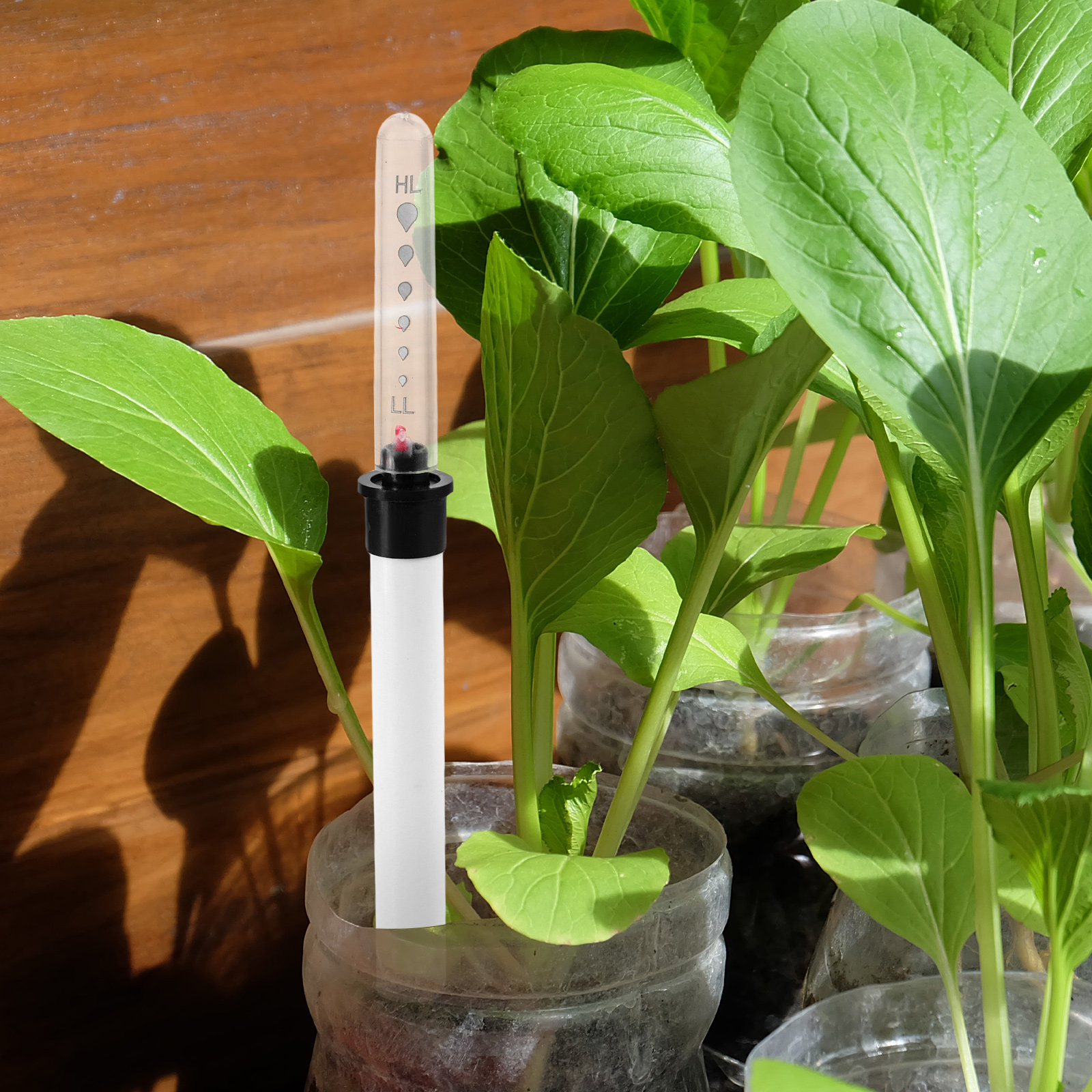 Water Table Moisture Meter for - Moisture Meter Plant review and price