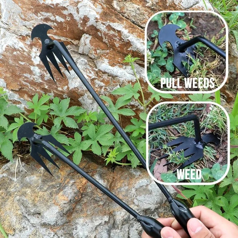 2 in 1 Garden Rake Manual Seed - Gardening Tools Hoe review and price
