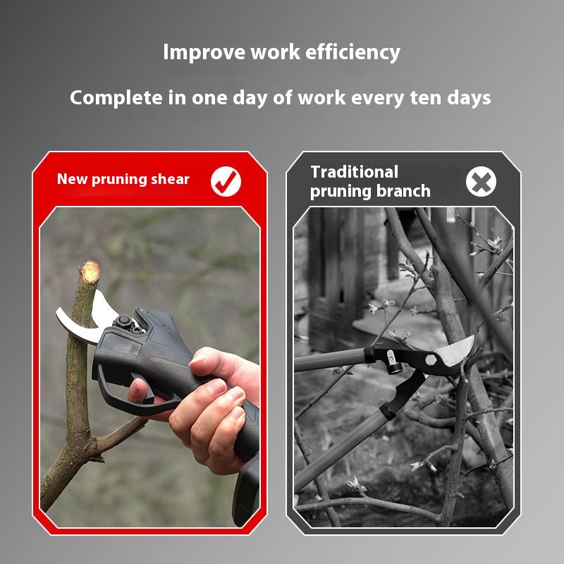 Portable Outdoor Cordless Elec - Pruning Shears review and price