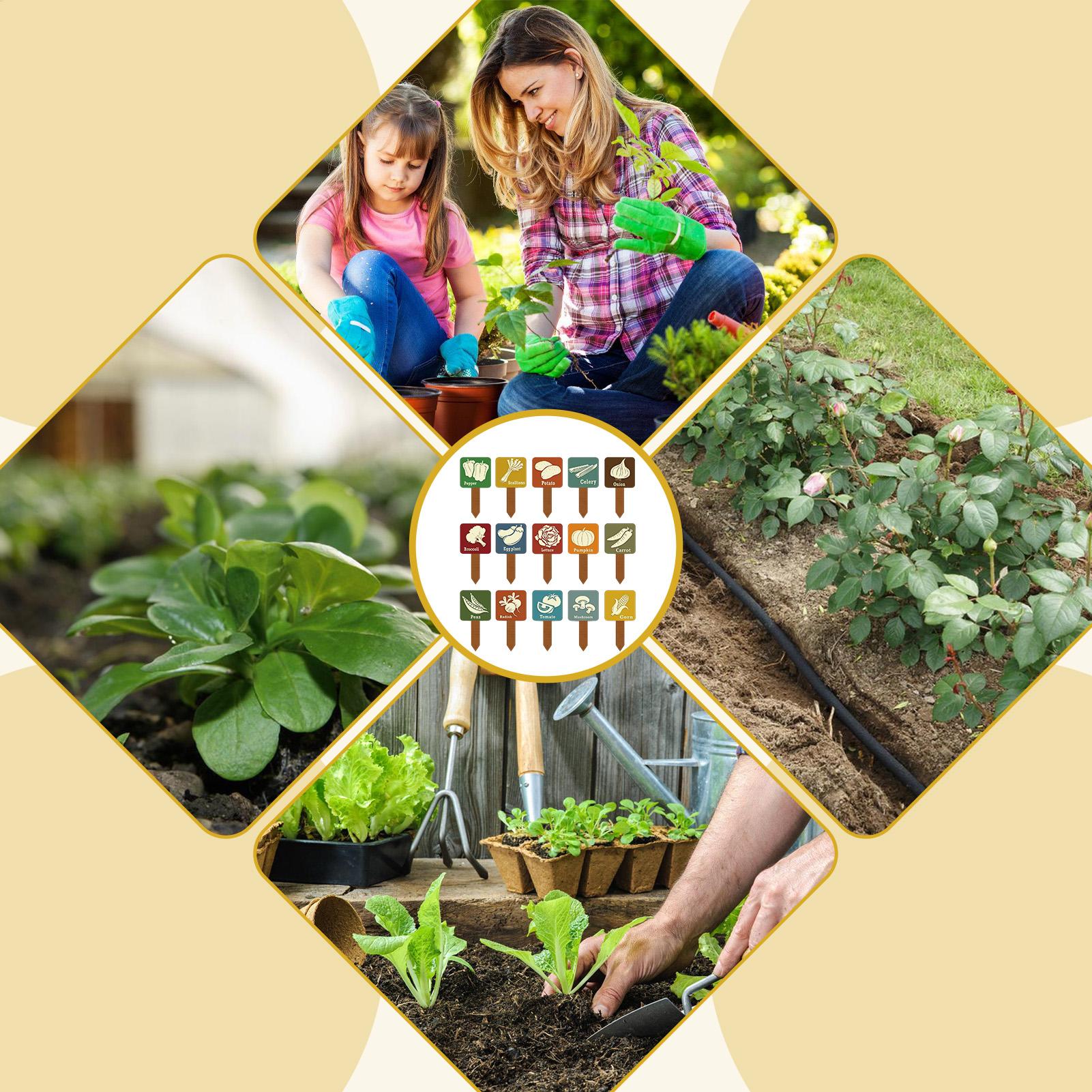 Garden Plant Markers 15 Pieces - Garden Row Marker review and price