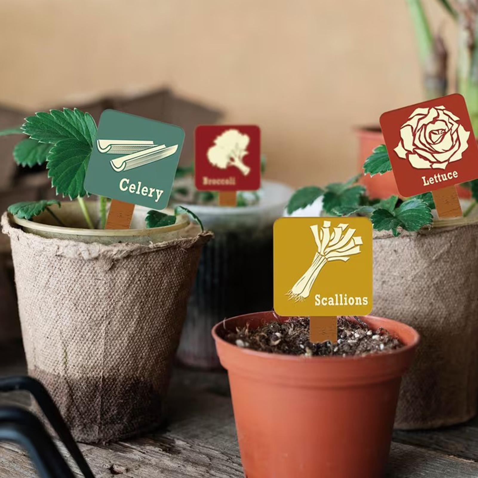 Garden Plant Markers 15 Pieces - Garden Row Marker review and price