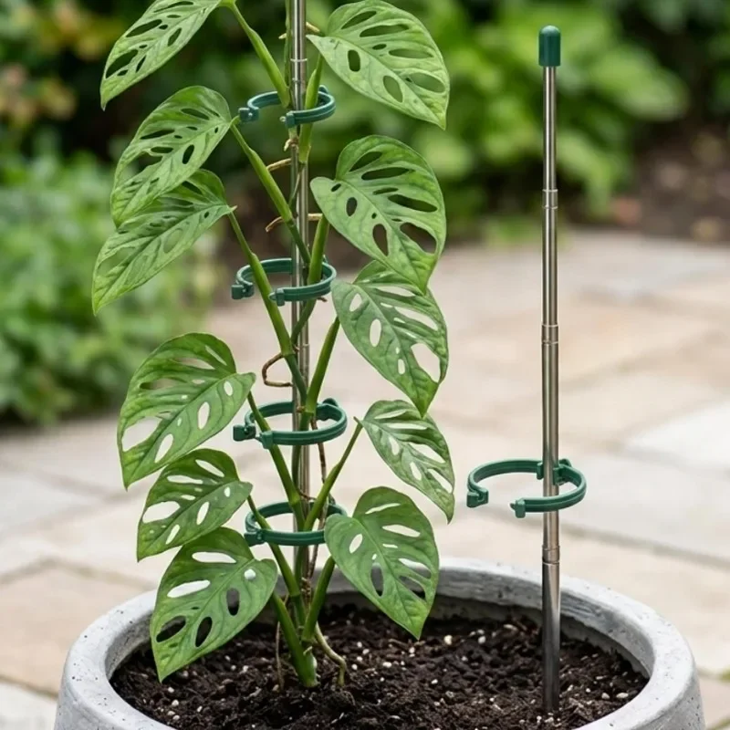 5/1PCS Retractable Plant Suppo - Gardening Tools Hoe review and price