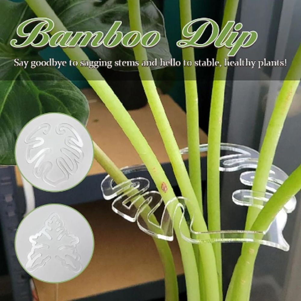 1/2PCS Reusable Turtle Shell B - Gardening Tools Wooden review and price