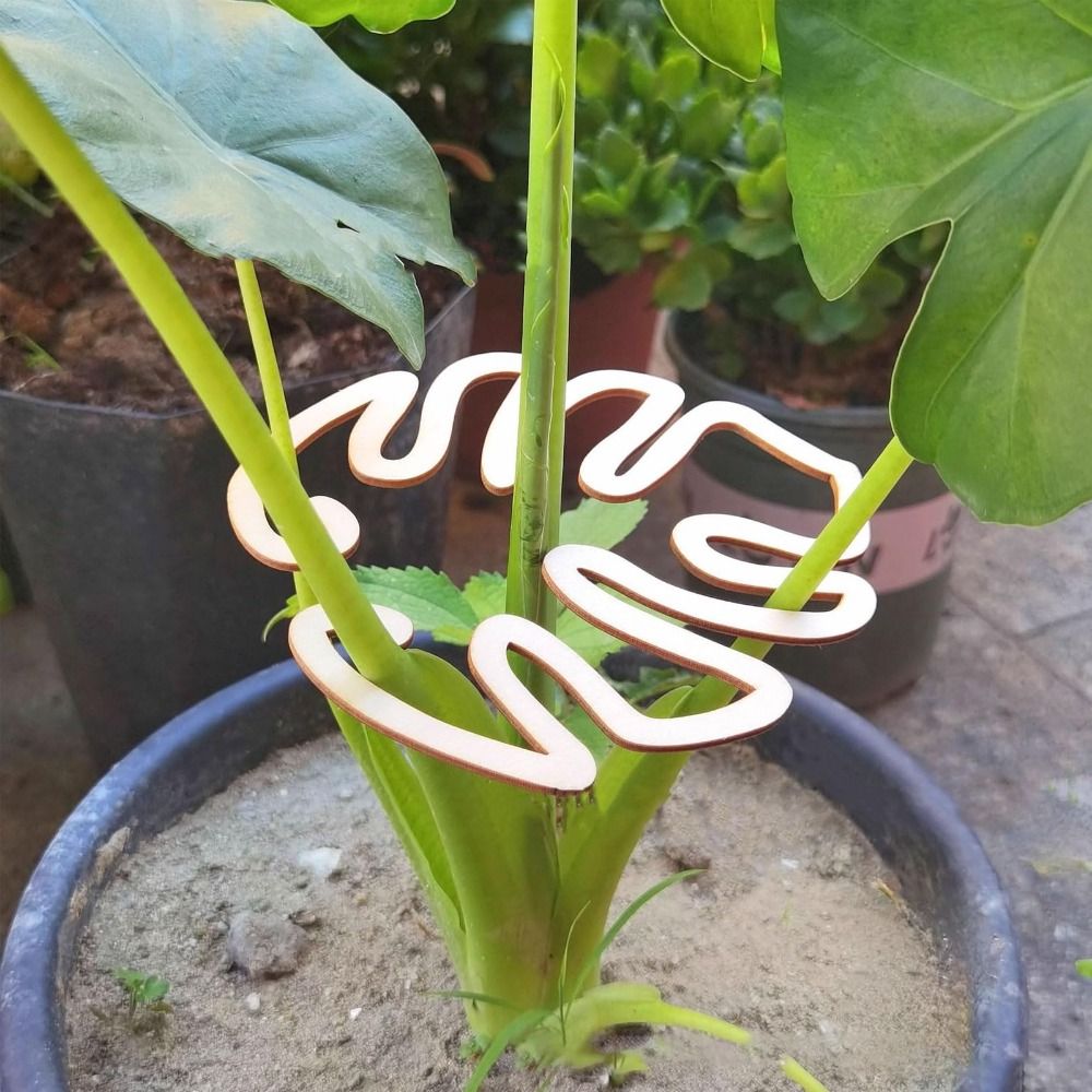 1/2PCS Reusable Turtle Shell B - Gardening Tools Wooden review and price