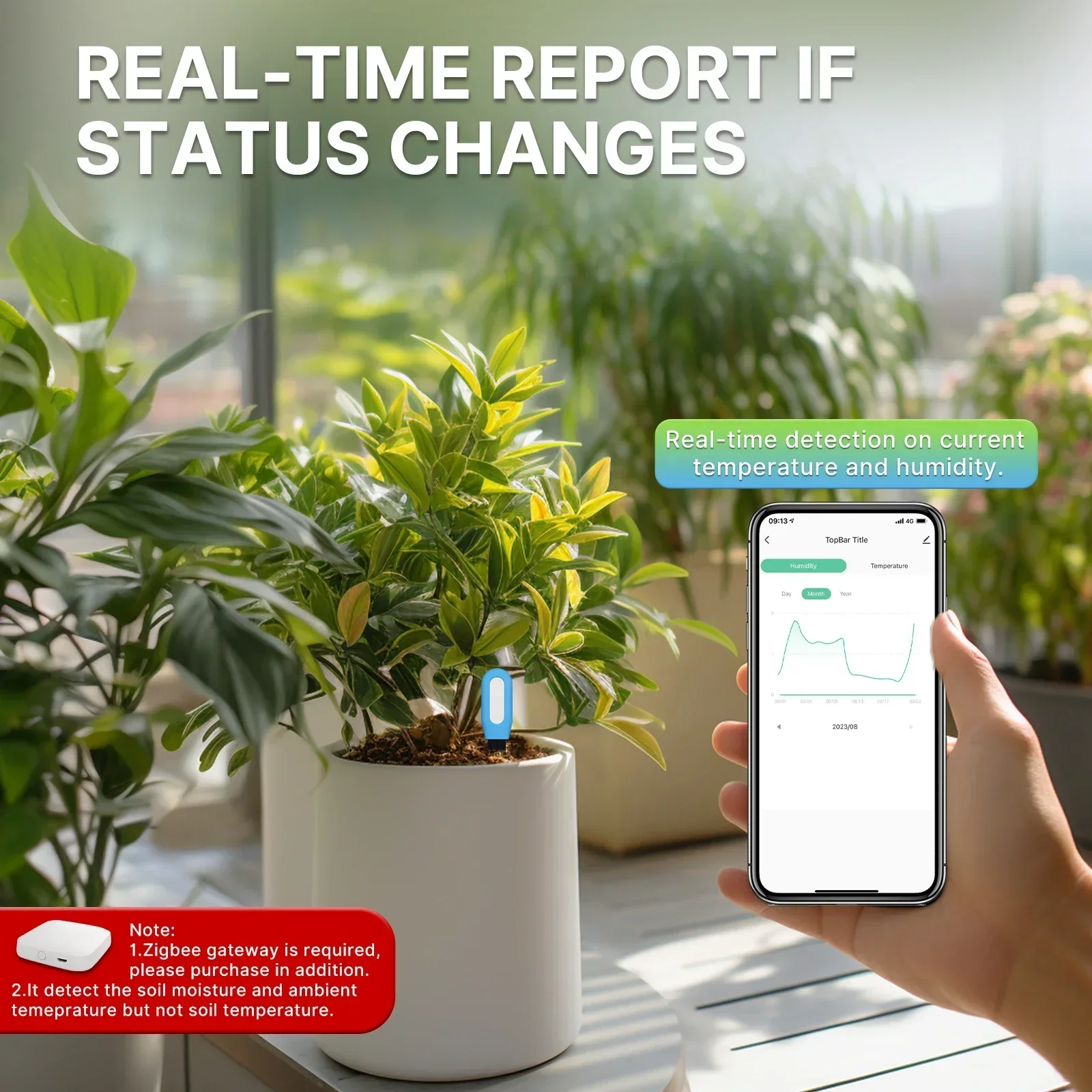 MOES Smart ZigBee Soil Tempera - Moisture Meter Plant review and price