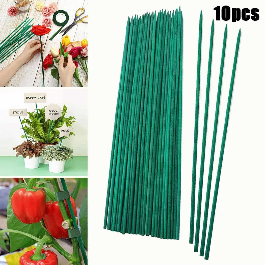 10pcs 40cm Green Bamboo Plant  - Gardening Tools Wooden review and price