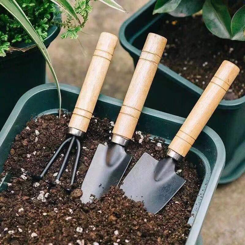 3PC/1Set Mini Gardening Tools  - Gardening Tools Hoe review and price