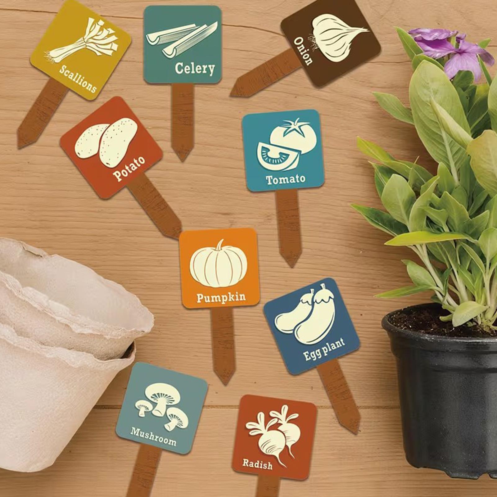 Vegetable Garden Signs 15 Piec - Garden Row Marker review and price