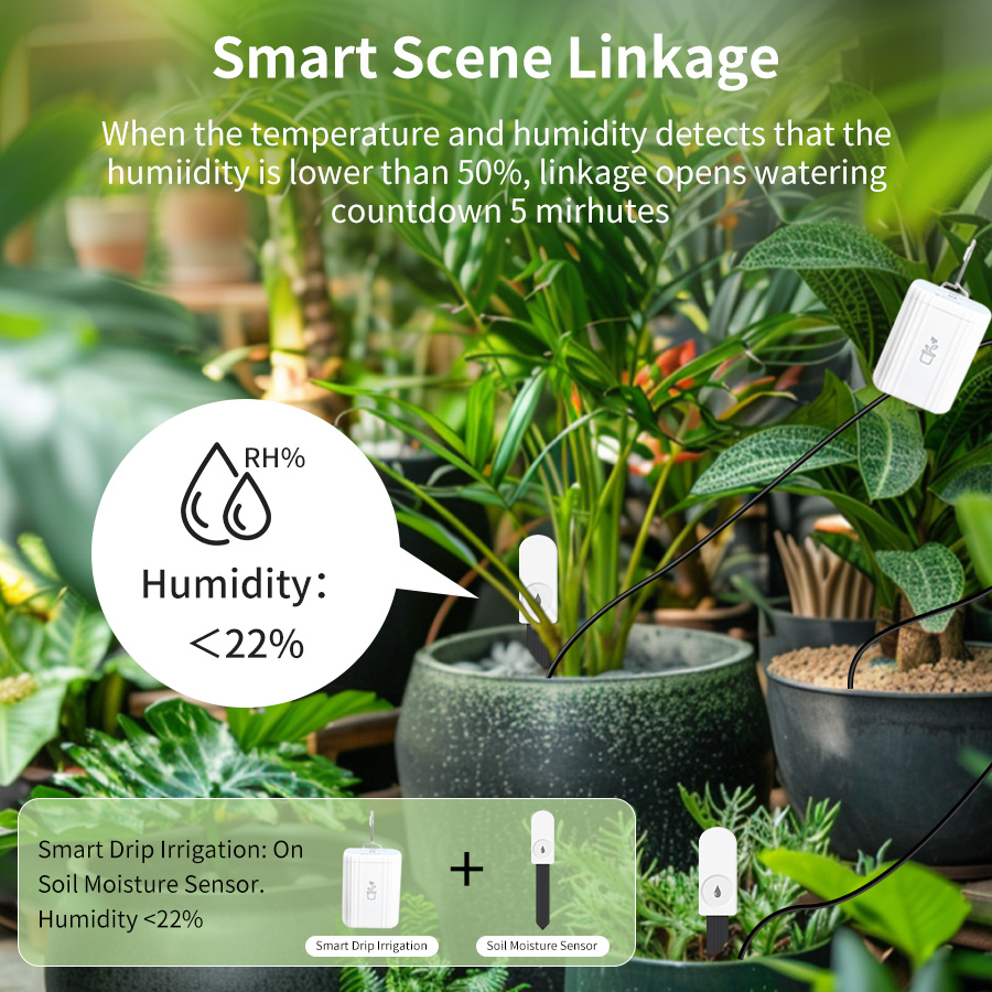 Smart Zigbee 3.0 Soil Tester H - Moisture Meter Plant review and price
