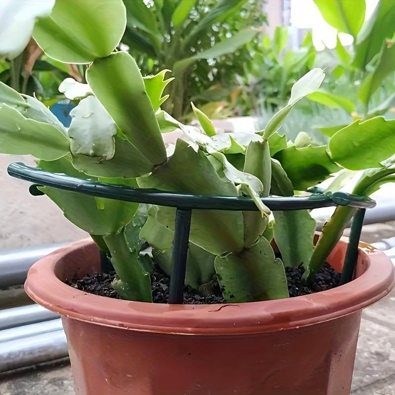 30-1PCS Plastic Plant Support  - Gardening Tools Hoe review and price