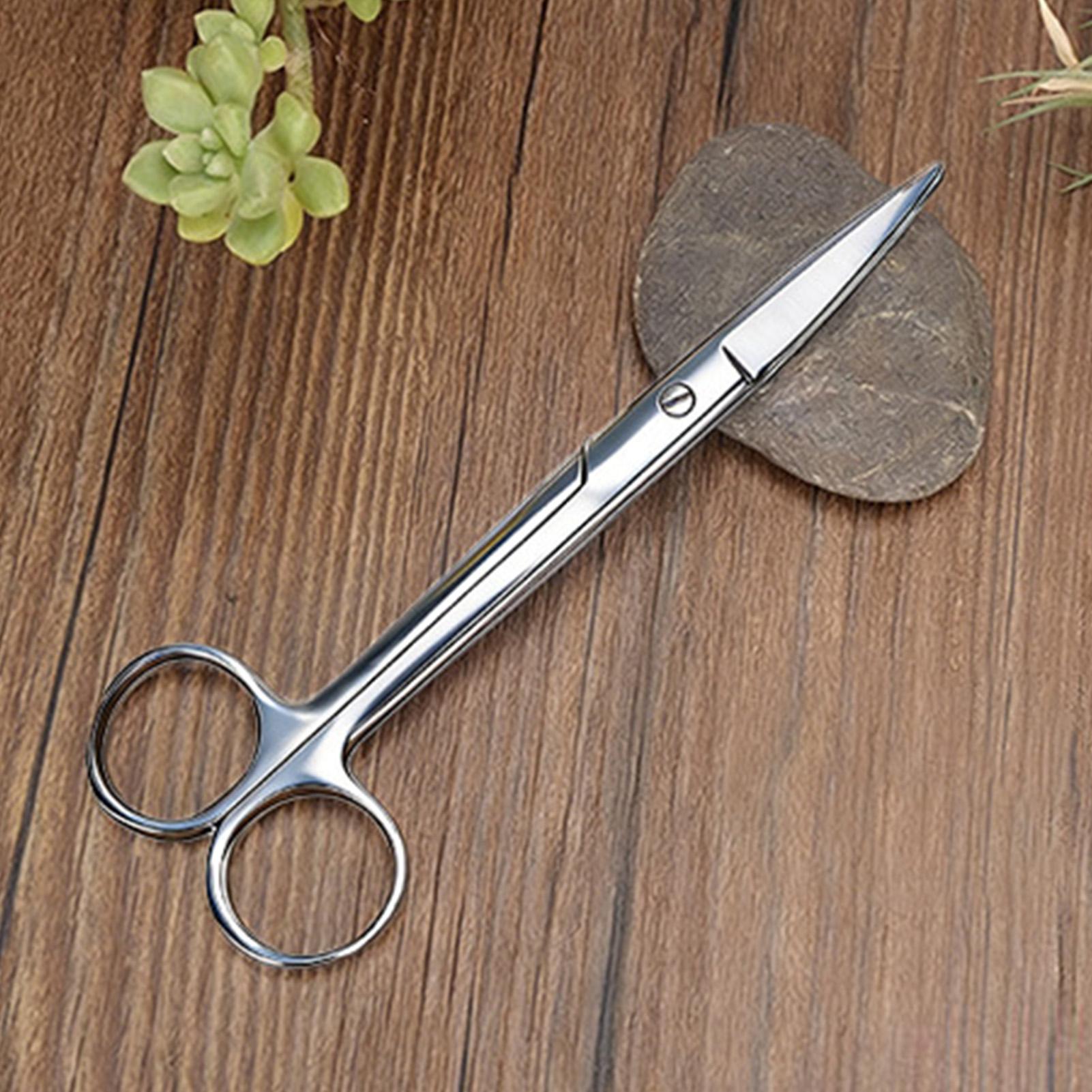 Plant Shears Stainless Steel E - Pruning Shears review and price