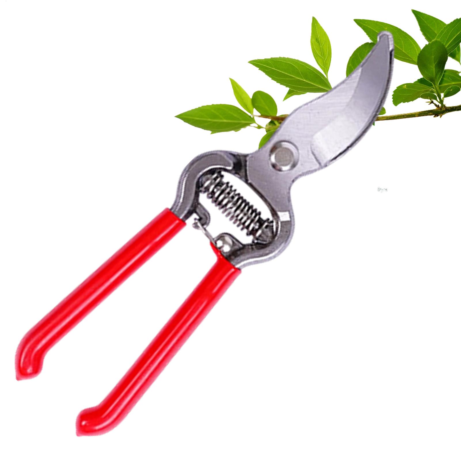 Plant Shears Potted Plant Hand - Pruning Shears review and price