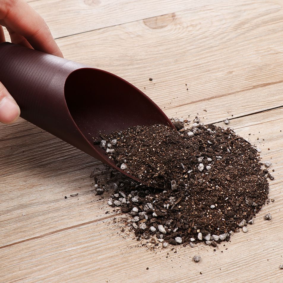 1PC Plastic Soil Shovel Cup Fo - Gardening Tools Hoe review and price